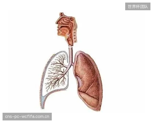 COFDM的主动阻断抑制算法，在何种临界条件下会过度干预，反而导致高速运动画面的细节失真？